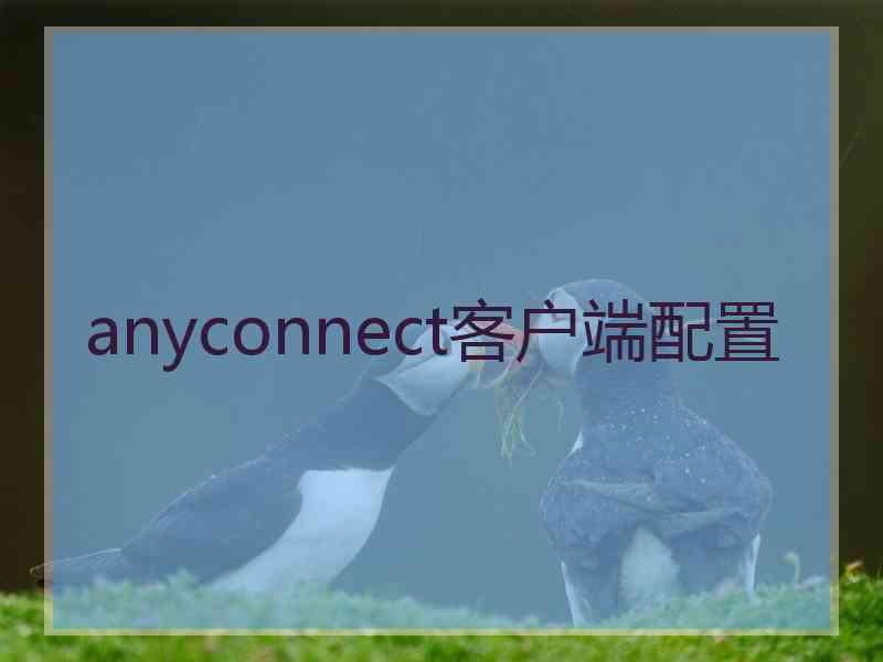 anyconnect客户端配置
