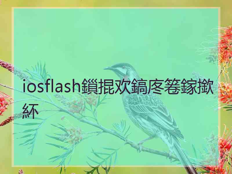 iosflash鎻掍欢鎬庝箞鎵撳紑