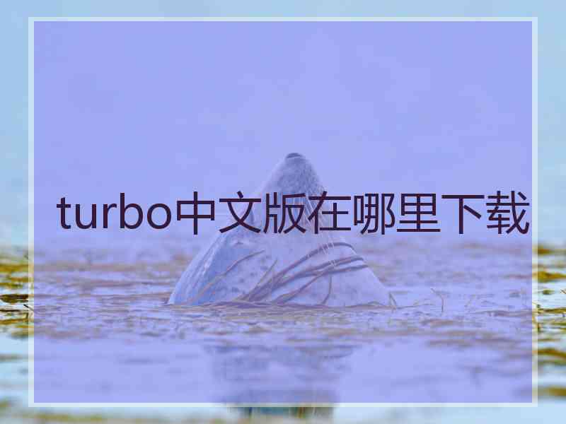 turbo中文版在哪里下载