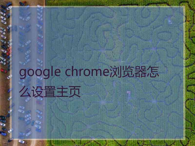 google chrome浏览器怎么设置主页