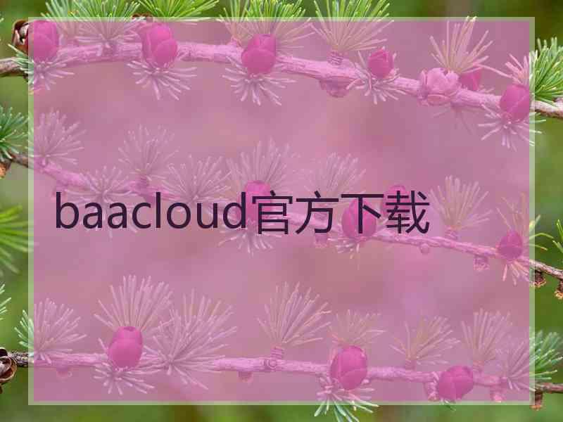 baacloud官方下载