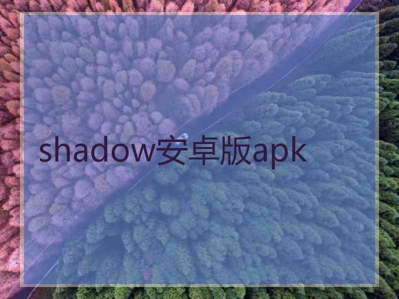 shadow安卓版apk