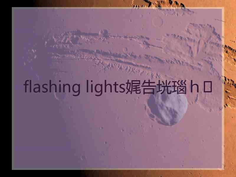 flashing lights娓告垙瑙ｈ