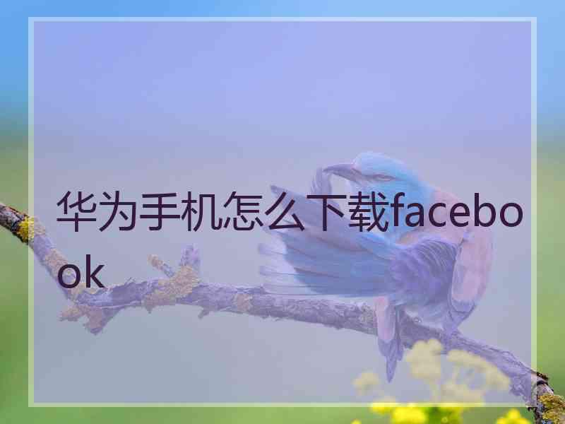 华为手机怎么下载facebook