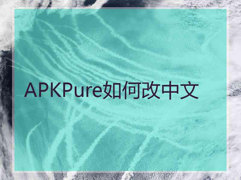 APKPure如何改中文