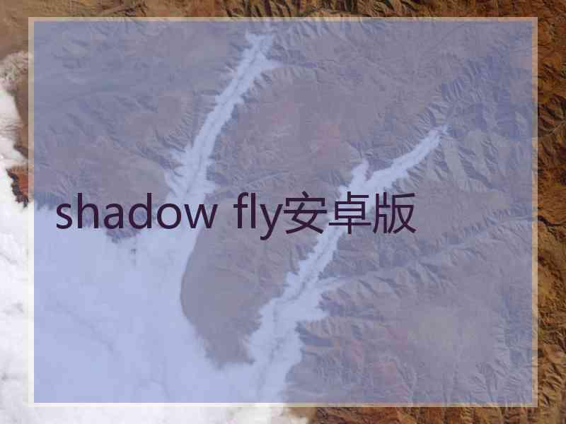 shadow fly安卓版