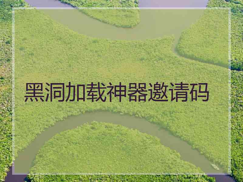 黑洞加载神器邀请码