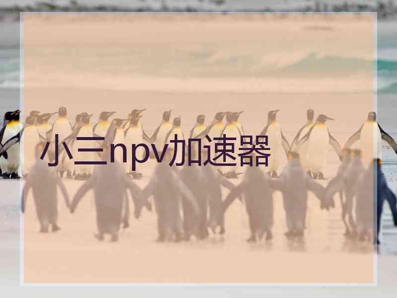 小三npv加速器