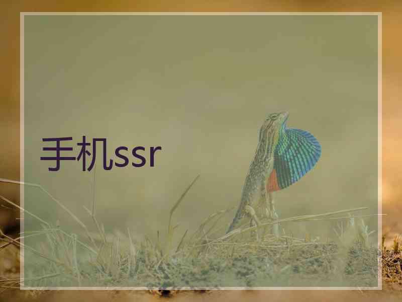 手机ssr