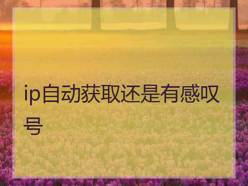 ip自动获取还是有感叹号