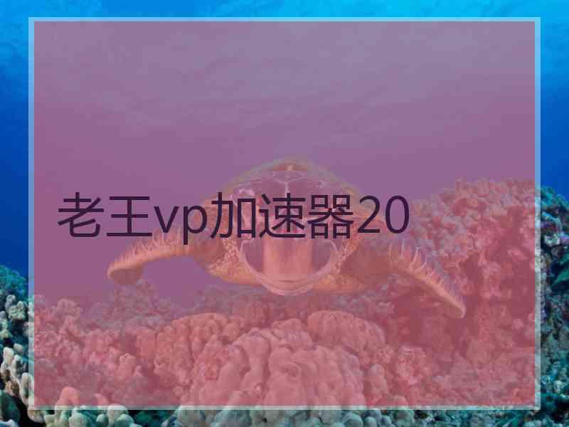 老王vp加速器20