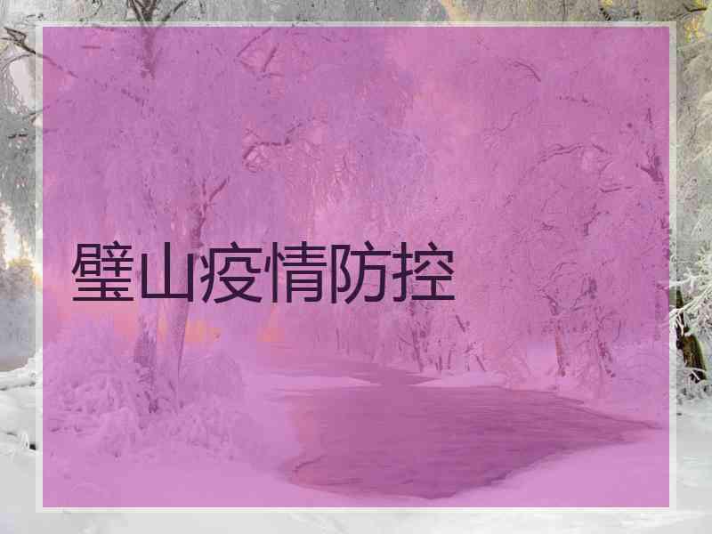 璧山疫情防控