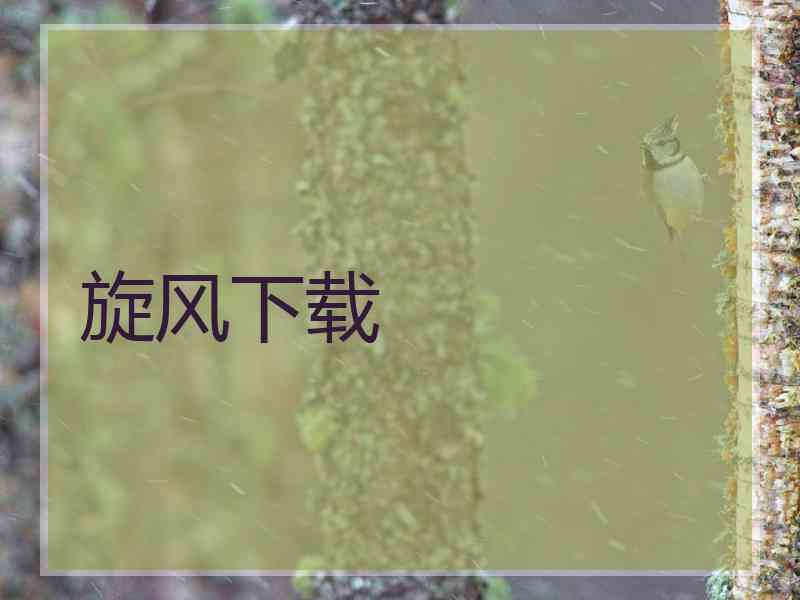 旋风下载