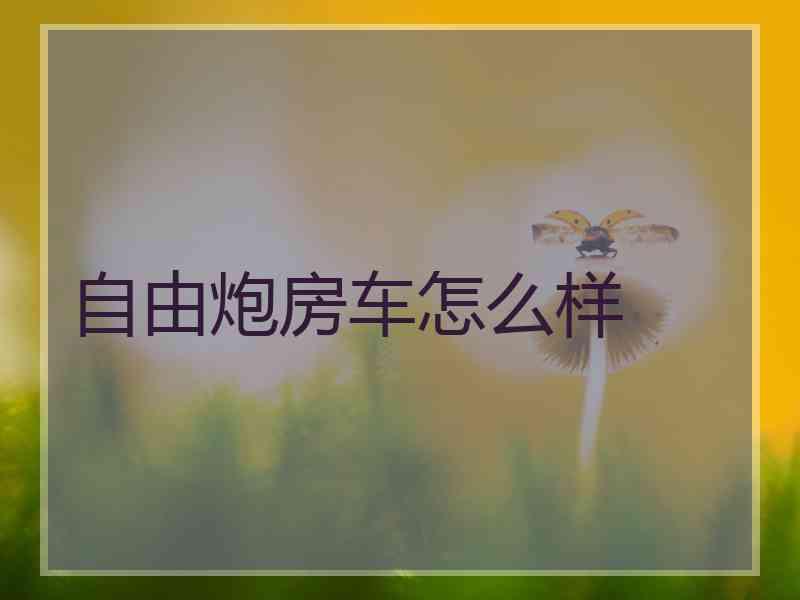 自由炮房车怎么样