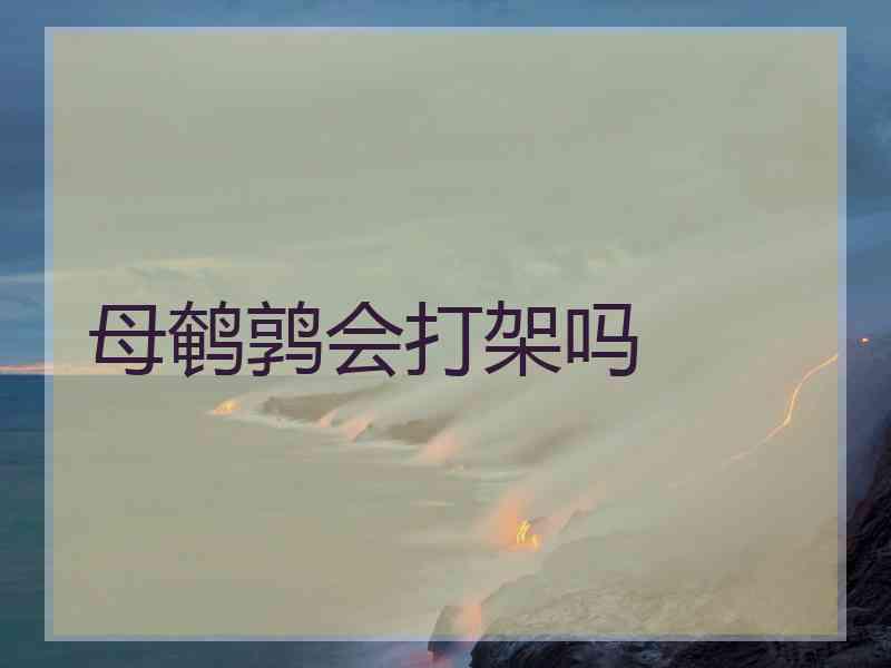 母鹌鹑会打架吗