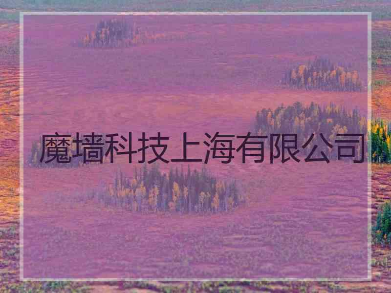 魔墙科技上海有限公司