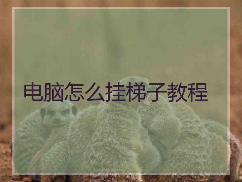 电脑怎么挂梯子教程