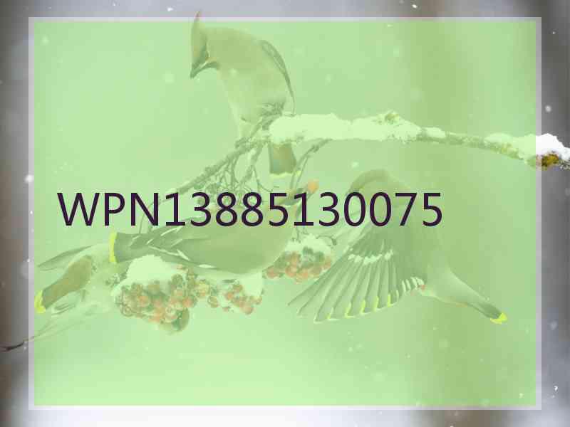 WPN13885130075