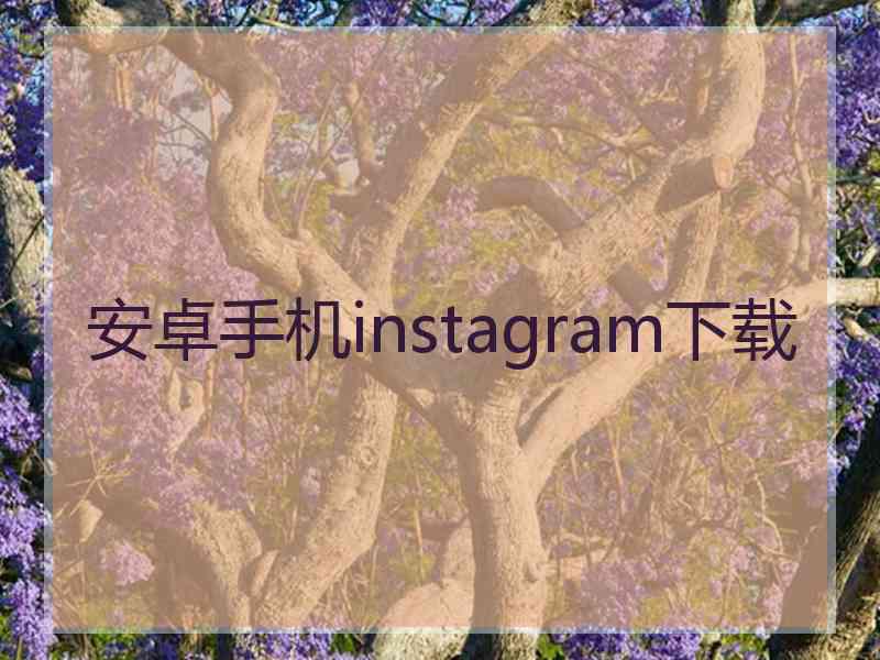 安卓手机instagram下载