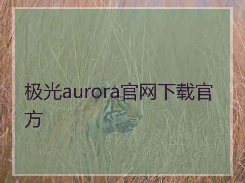 极光aurora官网下载官方