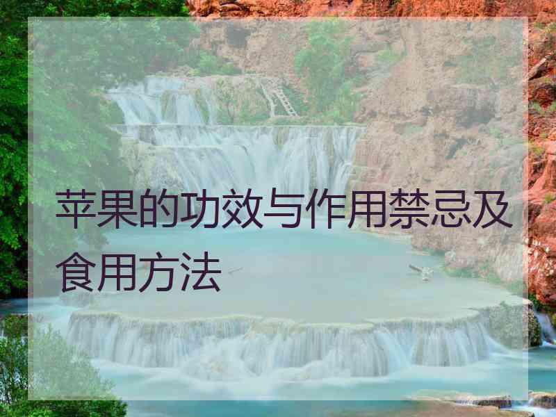 苹果的功效与作用禁忌及食用方法
