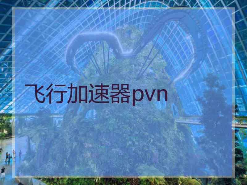 飞行加速器pvn