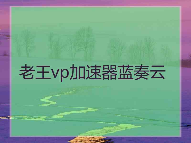 老王vp加速器蓝奏云