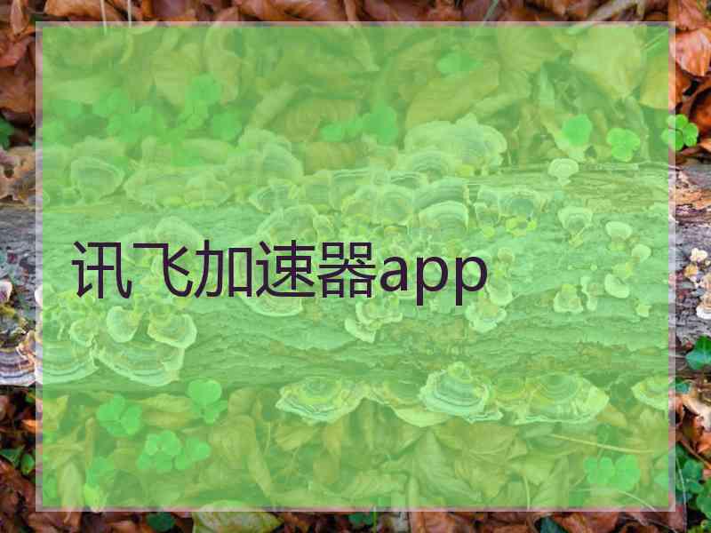 讯飞加速器app