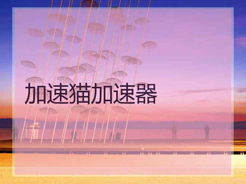 加速猫加速器