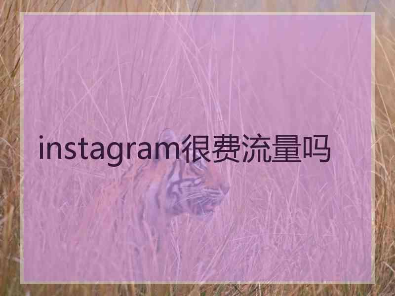instagram很费流量吗