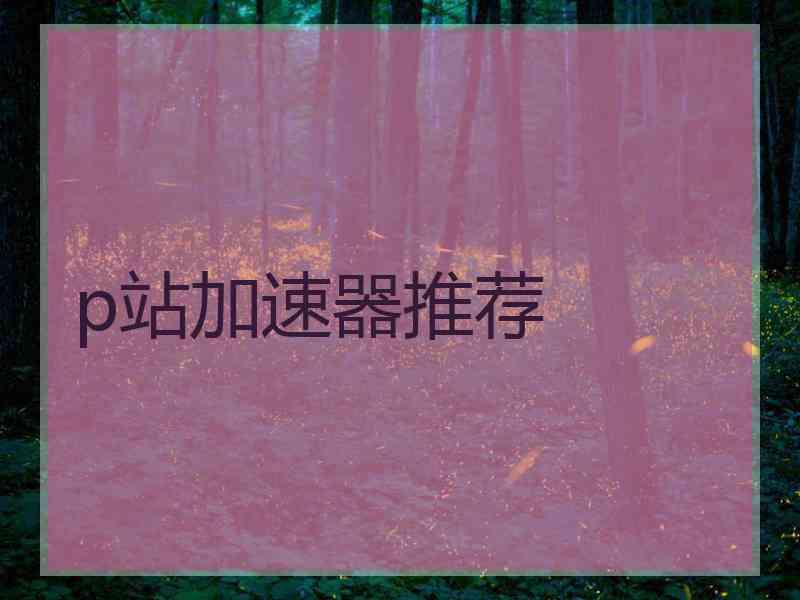 p站加速器推荐