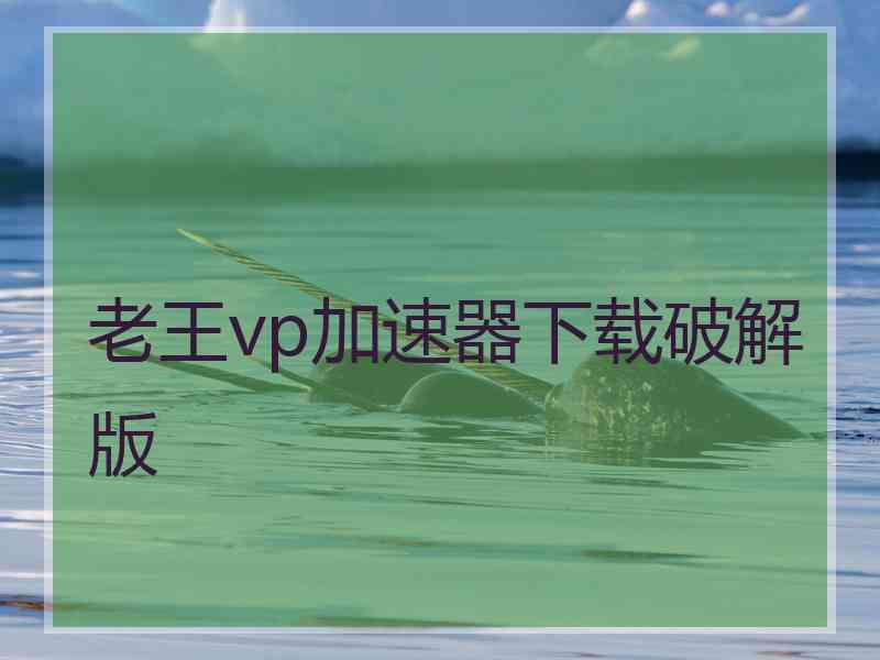 老王vp加速器下载破解版