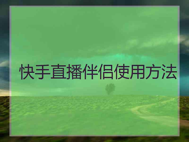 快手直播伴侣使用方法