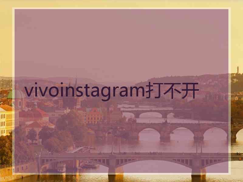 vivoinstagram打不开