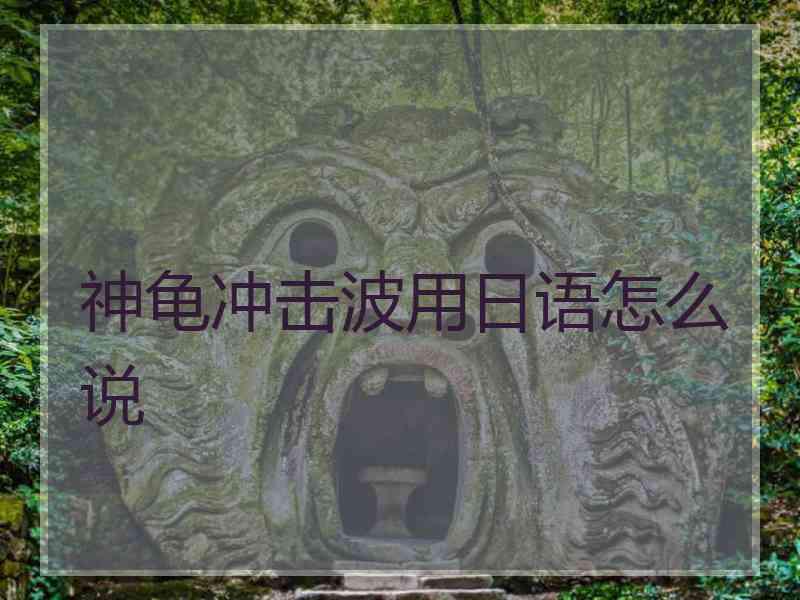 神龟冲击波用日语怎么说