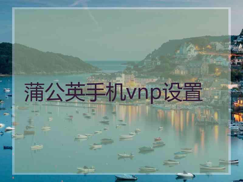 蒲公英手机vnp设置