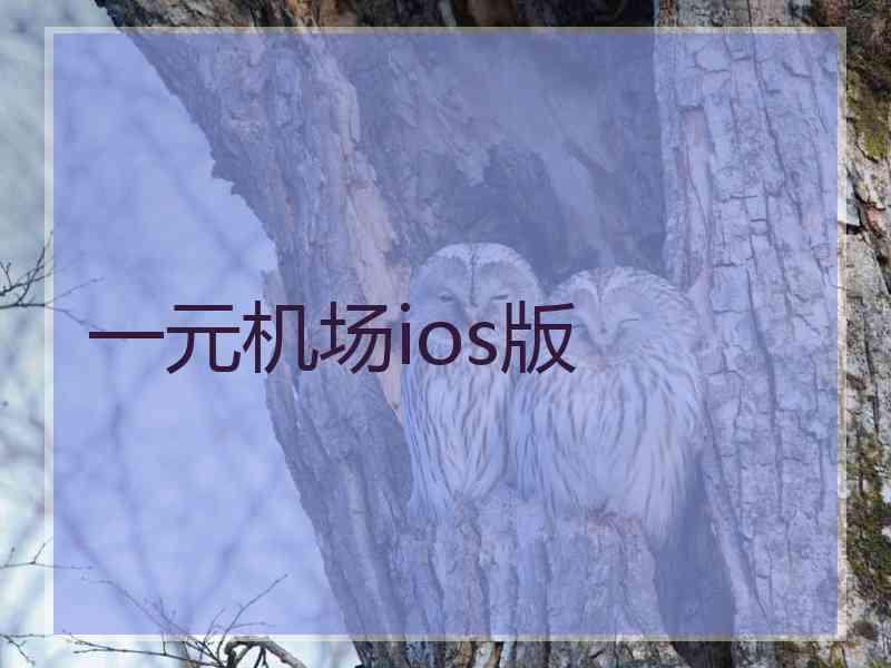 一元机场ios版