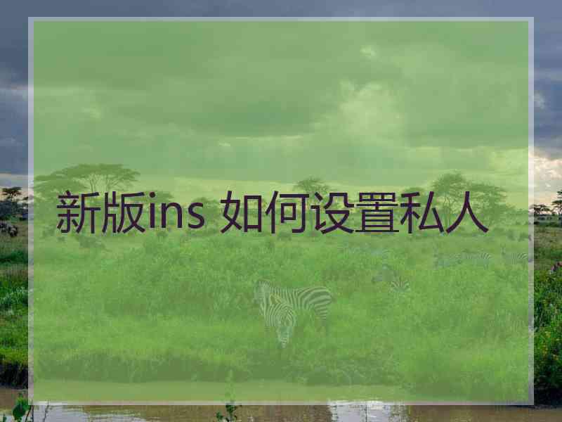 新版ins 如何设置私人