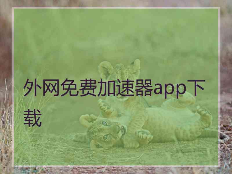 外网免费加速器app下载