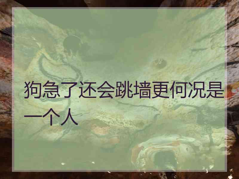 狗急了还会跳墙更何况是一个人