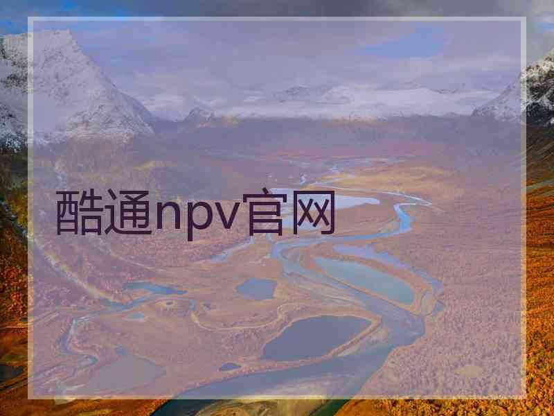 酷通npv官网