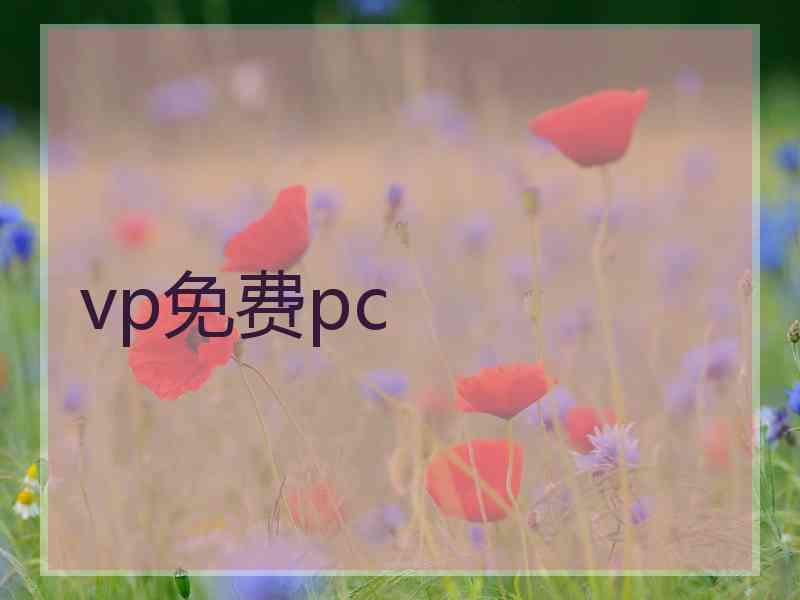 vp免费pc