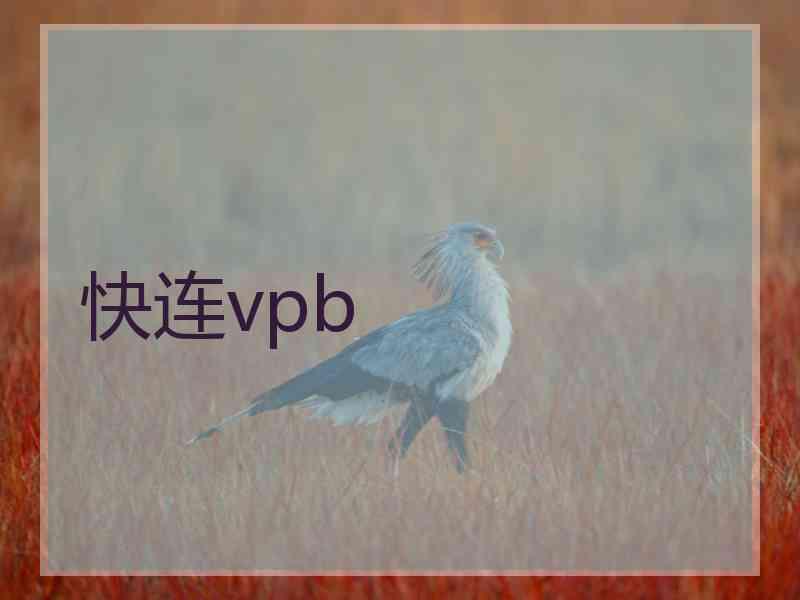 快连vpb