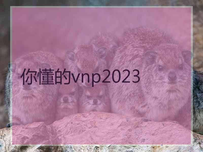 你懂的vnp2023