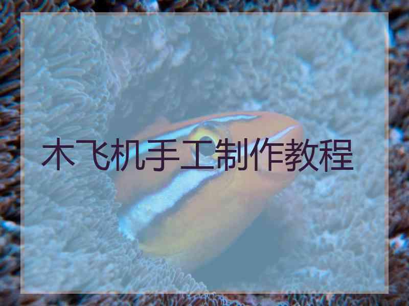 木飞机手工制作教程