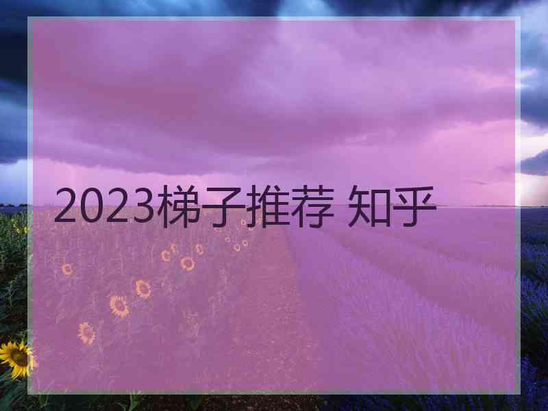 2023梯子推荐 知乎