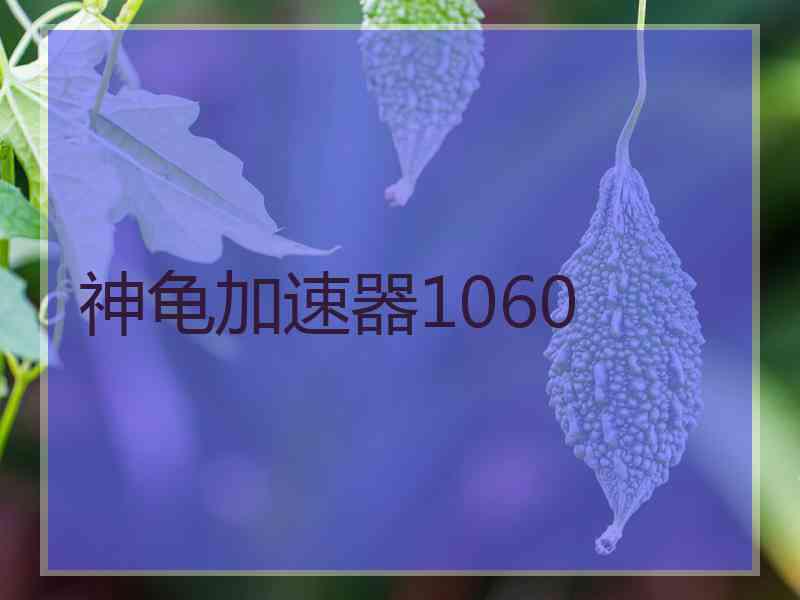 神龟加速器1060