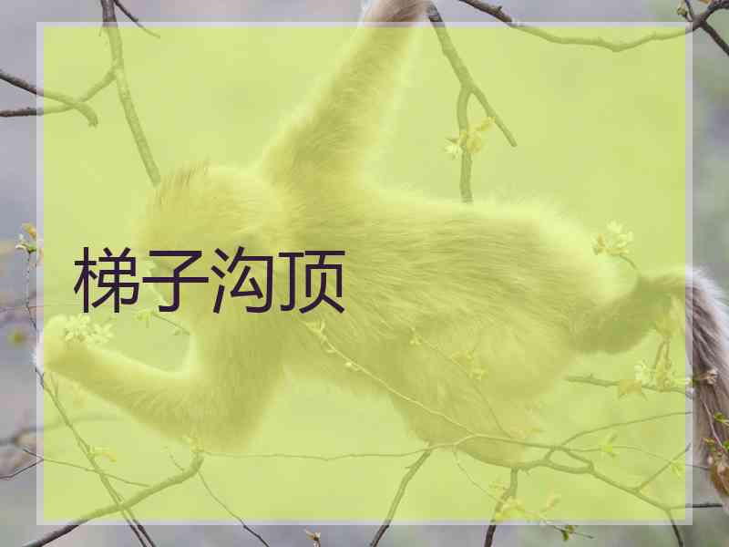 梯子沟顶