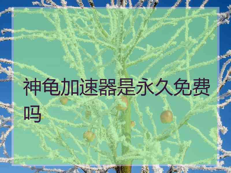 神龟加速器是永久免费吗