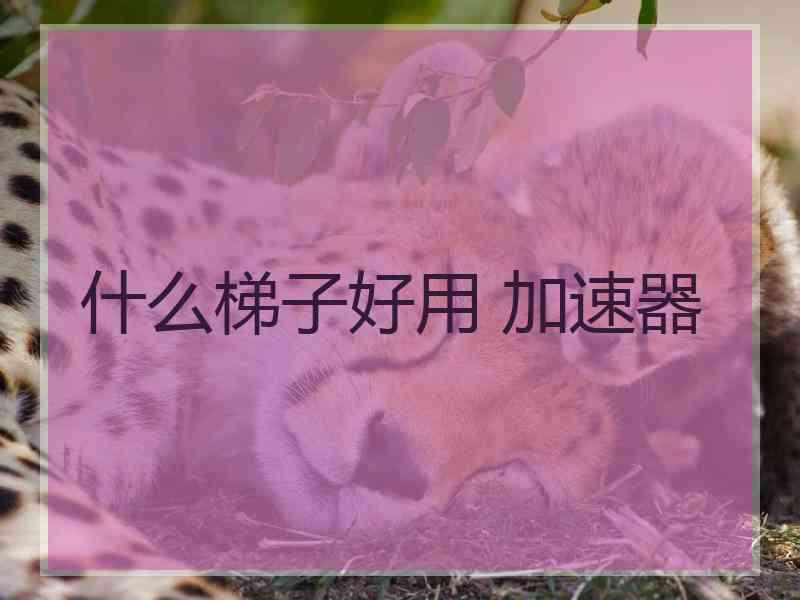 什么梯子好用 加速器
